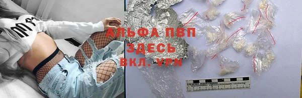 индика Кинешма