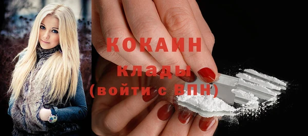 индика Кинешма