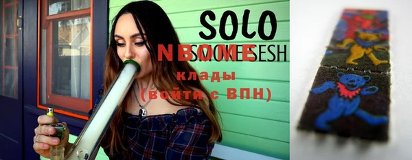 индика Кинешма