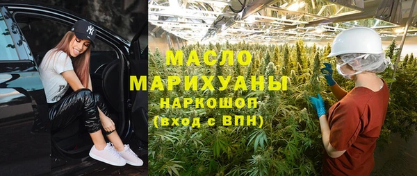 индика Кинешма