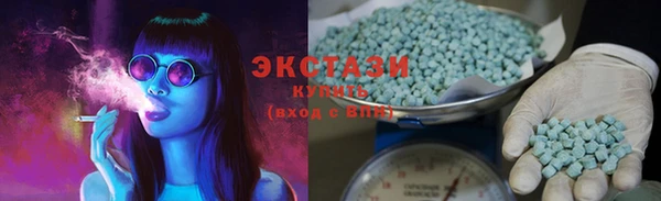 индика Кинешма
