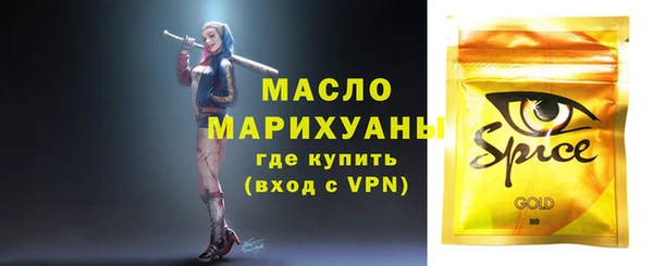 индика Кинешма
