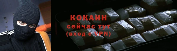 индика Кинешма