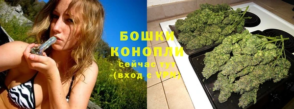 индика Кинешма