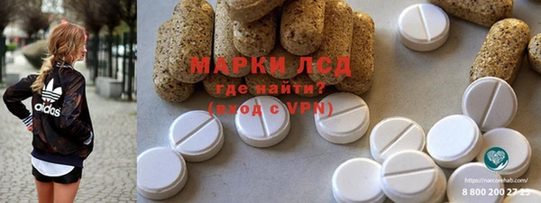 индика Кинешма