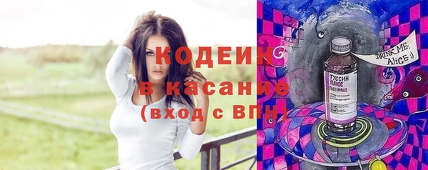 индика Кинешма