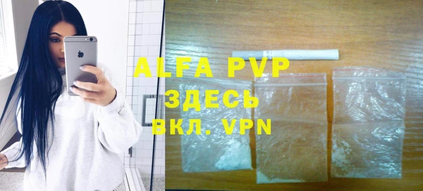 индика Кинешма